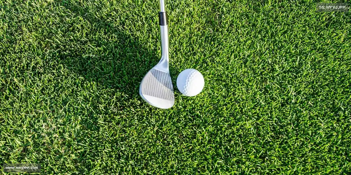 为什么选择我们