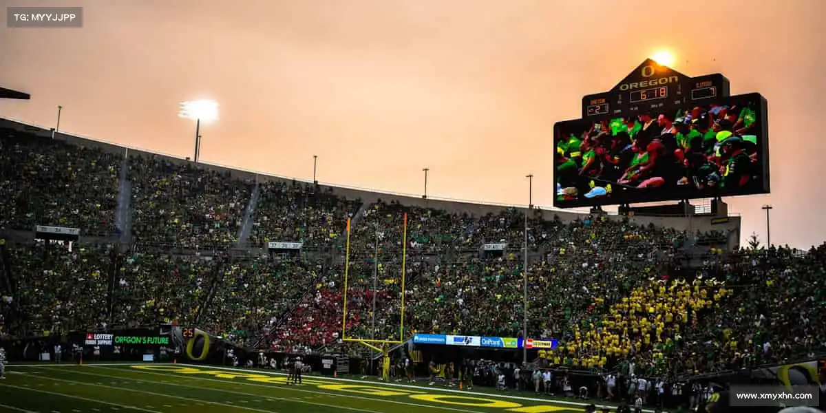 我们的品牌价值